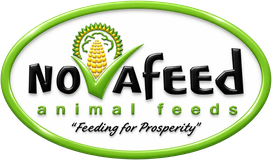 NovaFeed
